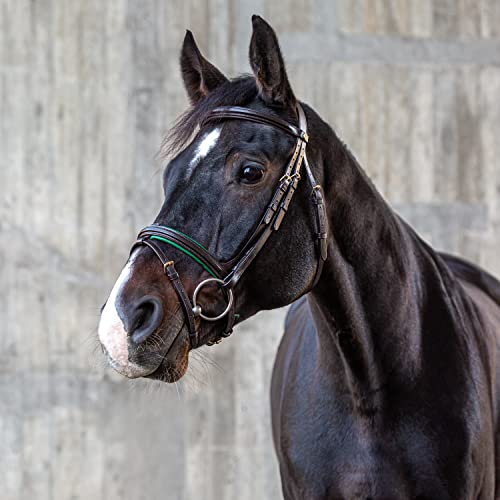 Sunride englisch kombinierte Trense Hawaii mit Zügel, aus weichem Echtleder, farbig unterlegt, verstellbar und anatomisch (Pony, braun/grün) von SUNRIDE