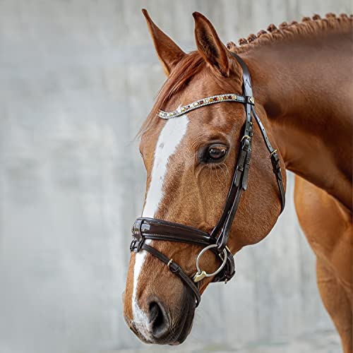 Sunride schwedische Trense Aspen mit Zügel, aus weichem Echtleder mit Lack, verstellbar und anatomisch (Cob, braun) von SUNRIDE