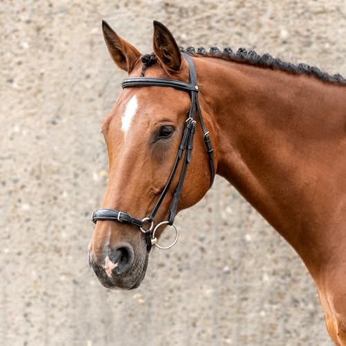 SUNRIDE hannoveranische Trense (Hannover) mit Zügel aus erstklassigem Echtleder für entspanntes Reiten (Pony, schwarz) von SUNRIDE