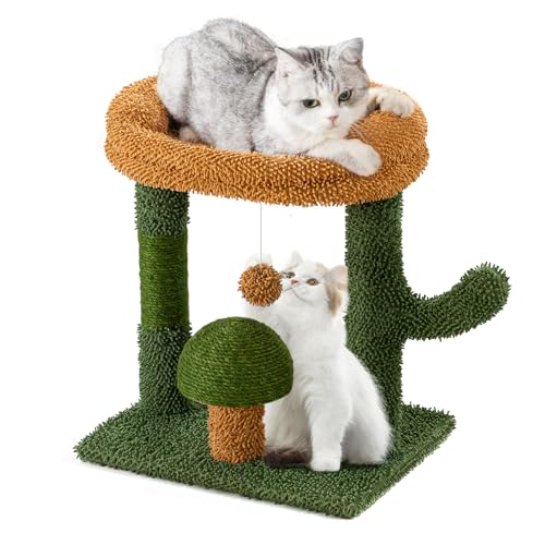 SUNTHX Kaktus-Kratzbäume für Indoor-Katzen, Sisal-Kratzbaum mit Spielball, 50,8 cm kleiner Kratzbaum und Pilz-Kratzbaum für Kätzchen, Grün von SUNTHX