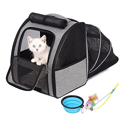 Katzenrucksack Hunderucksack, Erweiterbarer Haustier Rucksack für Kleine Hunde Katzen, von der Fluggesellschaft Zugelassen, Belüftetes Design für Reisen, Wandern & Draussen (Grau) von SUPERBE