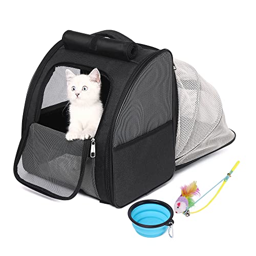 Katzenrucksack Hunderucksack, Erweiterbarer Haustier Rucksack für Kleine Hunde Katzen, von der Fluggesellschaft Zugelassen, Belüftetes Design für Reisen, Wandern & Draussen (Schwarz) von SUPERBE