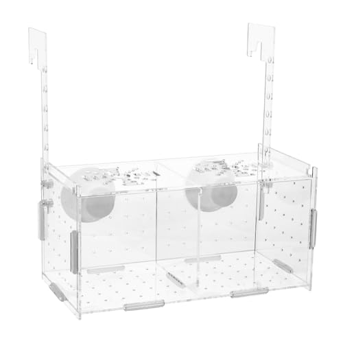 SUPERFINDINGS Aquarium Zucht Isolationsbox Acryl Fischzuchtbox Transparenter Aquarium Akklimatisierungs Brüterei Inkubator Mit Saugnäpfen 10x10x20cm von SUPERFINDINGS