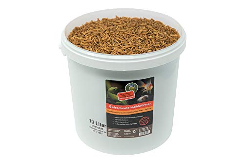 SUPERWURM 10 Liter getrocknete Mehlwürmer - Insekten getrocknet - Futter Snack für Fische, Wildvögel, Igel, Wachtel, Hamster, Ideales Igelfutter, Vogelfutter von SUPERWURM