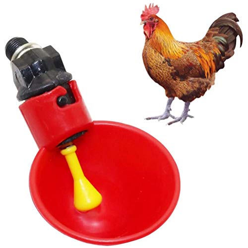 SUPYINI Chicken Feeder Who 20 x 12 x 5 5 Stück Automatische Trinkflasche Geflügel Trinkwasser Becher Kunststoff Trinkschale Geflügel Huhn Vögel Hühnerstall (Trinkschale) von SUPYINI