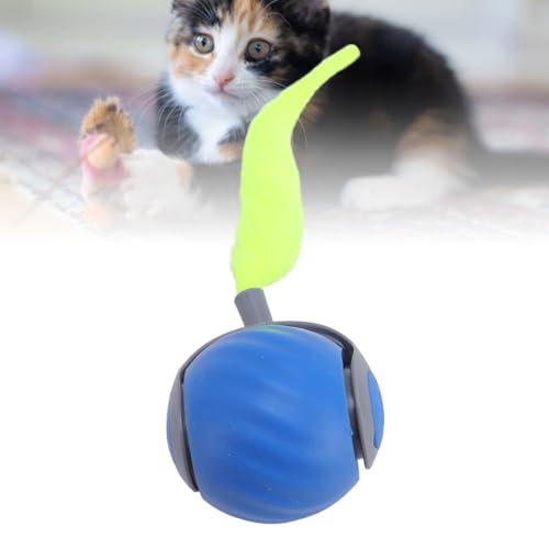 SUPYINI Speedy Tail Katzenspielzeug, Intelligentes Interaktives Katzenballspielzeug mit Geräusch Beim Zähneknirschen, Verhindert Langeweile, Bissfest, Automatischer Selbstrollender (Blau) von SUPYINI