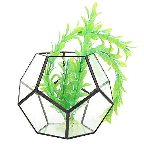 SUREH Schwarzer Geometrischer Glas-Terrarium-Übertopf, Fünfeckiger Blumentopf, Glas-Terrarium-Behälter für Sukkulenten, Farn-Luftpflanzen, Mini-Tischdekoration, Tafelaufsatz von SUREH