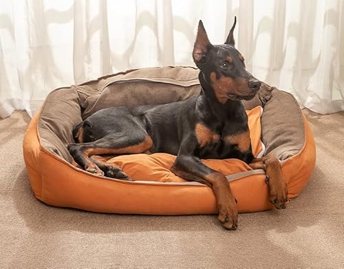 SUYGGCK Haustierzwinger Vier Jahreszeiten Universal Pet Bett Abnehmbar Und Waschbarer Zwinger Geeignet Für Mittlere Und Große Hunde-Orange,L von SUYGGCK