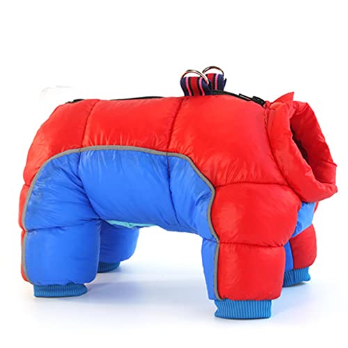 SUYGGCK Hundekleidung Winter Haustierhund Kleidung Super Warme Jacke Dicker Baumwollmantel wasserdichte Kleine Hunde Haustiere Kleidung Kleidung-Red Blue,S von SUYGGCK