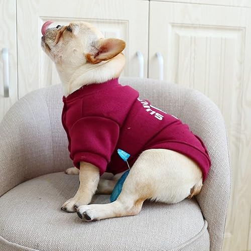 SUYGGCK Hundemantel Mode Fleece Pet Sweatshirt Komfortable Warme Haustierkleidung Für Katzen Und Welpen-Purple Red,L von SUYGGCK