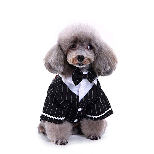 SUYGGCK Hundemantel Süße Mode -Haustierkleid -Anzug Smoking Fliege Für Katzen Und Kleine Hunde-A4,XL von SUYGGCK