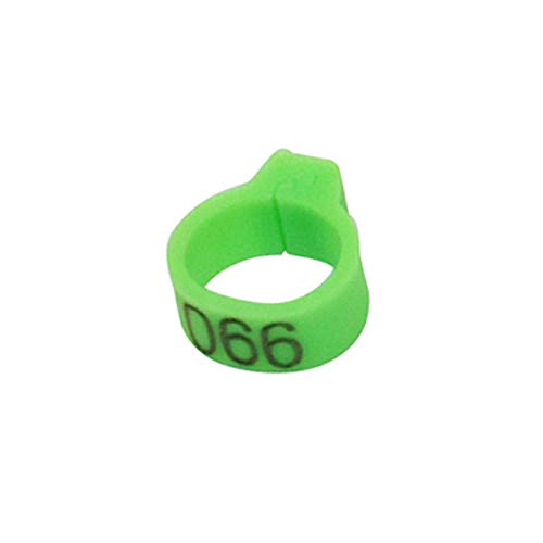 100 Stück/Set Innendurchmesser 8mm Taubenbein Geflügel Taube Vogel Papagei Clip Ringe Band Fußring Taube Zubehör Vogelgeräte-Grün von SUYIN