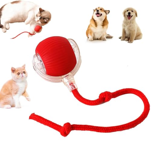 SUYUKU Interaktives Rolling Ball für Katzen 360° Smartes Hundespielzeug Ball Katzenspielzeug Elektrisch Chewie Rolling Ball für Kleine,Mittlere Hunde Pet Ball mit USB Aufladbar (Rot) von SUYUKU