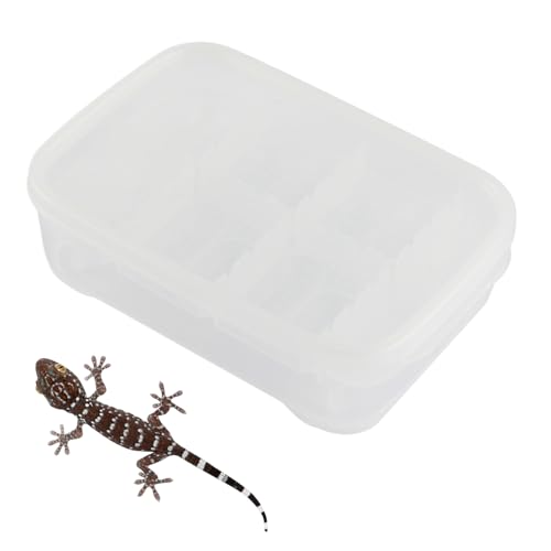 SVCEQZE Echsen Terrarium, 14-Fach Gecko Brut Terrarium, Transparente Zuchtbox Reptilien Habitat Für Klettern Transport Zuhause Innenbereich Spinnen Skorpione SVCEQZE Echsen Terrarium, 14-Fach Gecko Brut Terrarium, Transparente Zuchtbox Reptilien Habitat Für Klettern Transport Zuhause Innenbereich Spinnen Skorpione von SVCEQZE