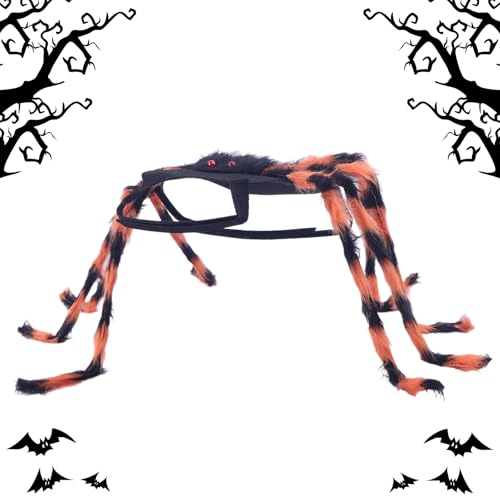 SVCEQZE Hund Spinne Kostüm,Spinnen Katze Halloween Verkleidung | Einstellbares Festkleidung Haustierzubehör für kleine und mittelgroße Katzen für Feiern, Feste, Paraden, Karneval und Geburtstage SVCEQZE Hund Spinne Kostüm,Spinnen Katze Halloween Verkleidung | Einstellbares Festkleidung Haustierzubehör für kleine und mittelgroße Katzen für Feiern, Feste, Paraden, Karneval und Geburtstage von SVCEQZE