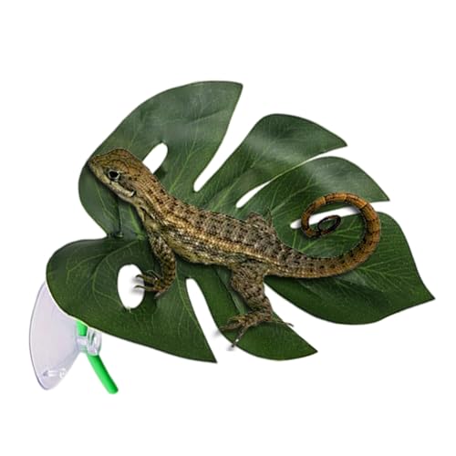SVCEQZE Terrarium Deko,Blattförmige Terrarienpflanzen - Amphibien Deko Für Nachttische Schlafzimmer Hotel Garten Eingangsbereich SVCEQZE Terrarium Deko,Blattförmige Terrarienpflanzen - Amphibien Deko Für Nachttische Schlafzimmer Hotel Garten Eingangsbereich von SVCEQZE