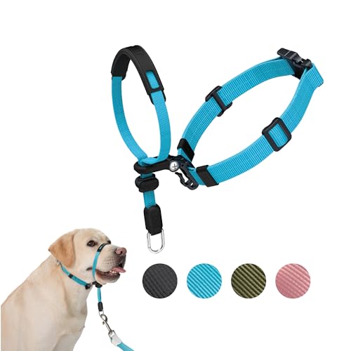 SVD.PET Hundehalfter für leichtere Spaziergänge, kaufester Schutz für mehr Komfort, einfaches Design, einfach zu tragen und anzupassen (mittlere Größe für kleine und mittelgroße Hunde) von SVD.PET