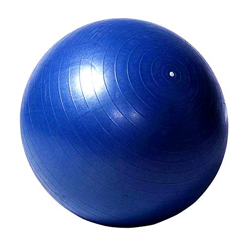 Herding Ball für Pferde, 101,6 cm, Anti-Burst Riesen-Fußball, Spielzeug für Pferde, inklusive Pumpe von SWYIVY