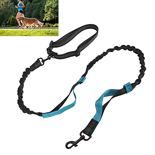 SWZA Robuste Bungee-Hundeleine mit Stoßdämpfung, 2 gepolsterte Griffe, Trainingsleine für das Lauftraining großer Hunde (Blau) von SWZA