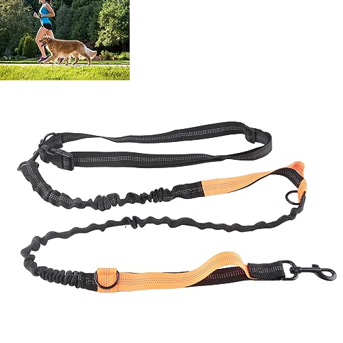 SWZA Robuste Bungee-Hundeleine mit Stoßdämpfung, 2 gepolsterte Griffe, Trainingsleine für das Lauftraining großer Hunde (Orange) von SWZA