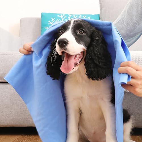 SWZA Shammy-Handtücher für Hunde, super saugfähig, schnell trocknend für Hunde, wiederverwendbar und hautfreundlich zum einfachen Tragen, 65 x 42 cm. von SWZA