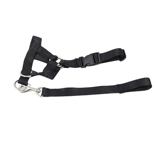 Fruugo Halti Kopfhalsband Hundetraining Gehorsam Hören Sie auf, an der Leine zu ziehen, Keine Zuglösung (XL,Schwarz) von SWZEC