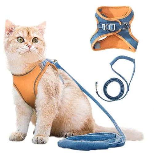 SWZEC Haustierstolz® - Das Original Katzengeschirr mit Katzenleine (L (5-6kg),Blau-Orange) von SWZEC