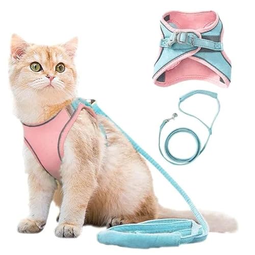 SWZEC Haustierstolz® - Das Original Katzengeschirr mit Katzenleine (L (5-6kg),Hellblau-Pink) von SWZEC