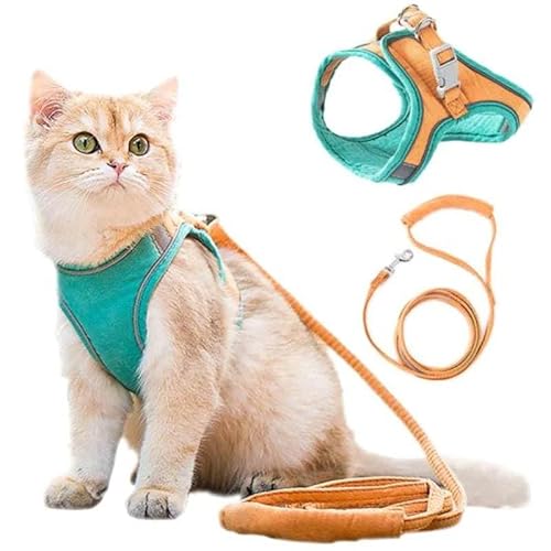 SWZEC Haustierstolz® - Das Original Katzengeschirr mit Katzenleine (XL (6-7.5kg),Orange-Grün) von SWZEC