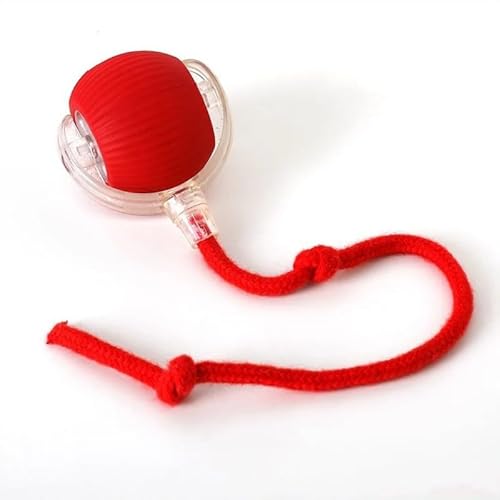 SWZEC Tier-Herzen-Interaktiver Spielball mit Schwanz für Hunde(1x Power-Ball,Rot) von SWZEC