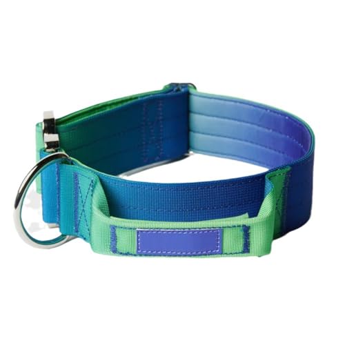 Taktisches Hundehalsband - Und Leinen-Set - 90s Retro (Blau L) von SWZEC