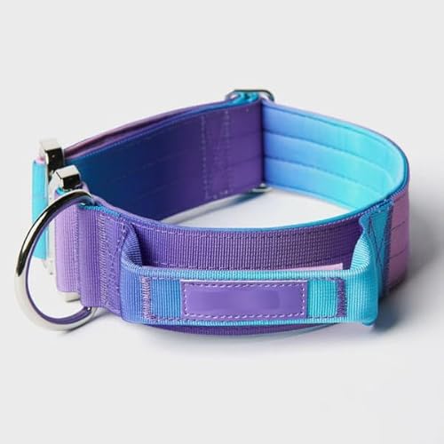 Taktisches Hundehalsband - Und Leinen-Set - 90s Retro (Lila L) von SWZEC