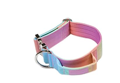 Taktisches Hundehalsband - Und Leinen-Set - 90s Retro (RotM) von SWZEC