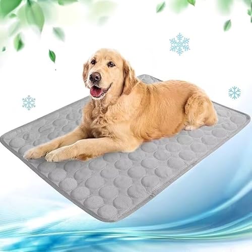 Tierbedarf-Plus Summer Cooling Bed Dog von SWZEC