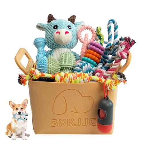 SXKJJC Kauspielzeug für Hunde gegen Zahnen, Langeweile, Zahnbürste, Welpenspielzeug mit Seilspielzeug, Bällen und Quietschspielzeug für kleine und mittelgroße Rassen, 18 Stück von SXKJJC