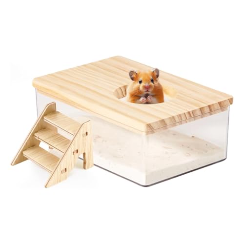 SXTDKMJ Hamster Sandbad, Hamster Sand Badezimmer Transparent Acryl Sandbehälter mit Holzleiter Kleintiere Graben Sandkasten Hamster Zubehör von SXTDKMJ