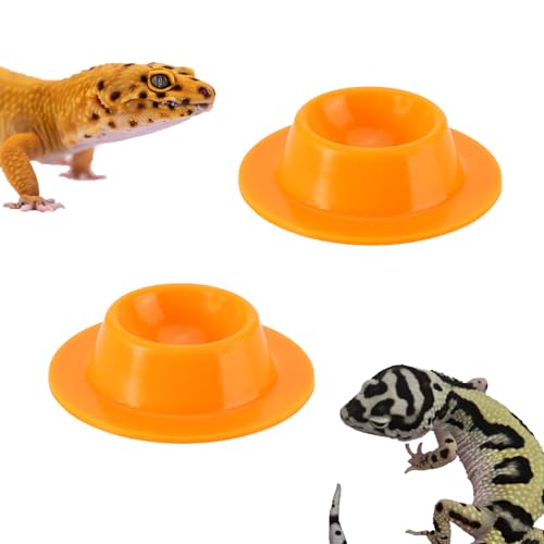 2 Pack Leopard Gecko Futternapf Gecko Kalzium Dish Gecko Futternapf und Wasser Futternapf Reptilien Wasser Futternapf Kalzium Schüssel für Bartdrache Eidechse Schildkröte Gecko Springspinne von SXYYDSG