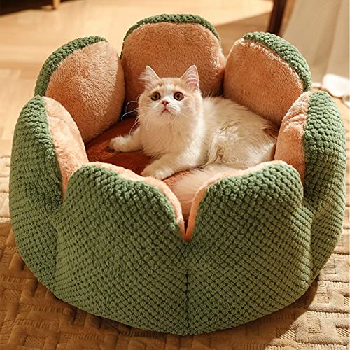 SYCARPET Katzenbett Hundebett Waschbare Haustierbett, Kaktus Blütenblatt Form Katzenbett Sofa, niedliche Plüsch Haustier Nest für Welpen und Katzen von SYCARPET