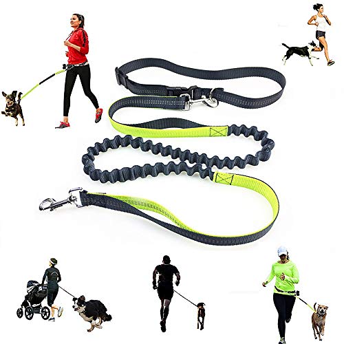 SYCASE Jogging Leine Hundeleine,Hände frei Hund Leine für Laufen, Walking, Wandern, langlebig-2-Griff Bungee Leine, reflektierende Nähte, verstellbar Taille Gürtel (passt für bis zu 119,4 cm Taille) von MASOLD