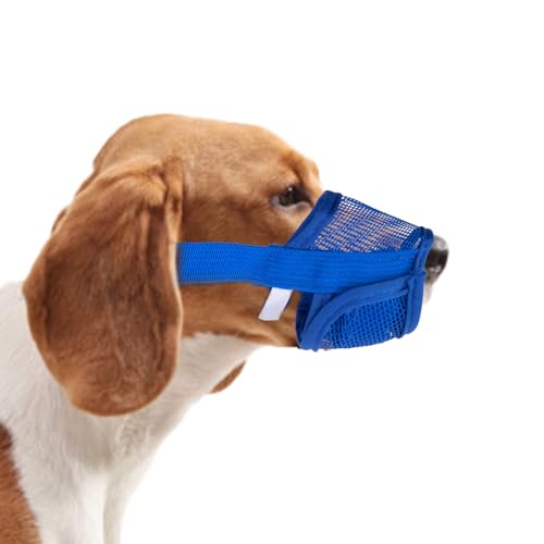 Maulkorb für Hunde Prevent Kauen/Beißen Hunde Maulkorb Sicher Atmungsaktives Bellen Sicheres und Bequemes Design mit Verstellbarer Schlaufe Für Kleine Mittelgroße und Große Hunde (Blue-M) von SYHSYC