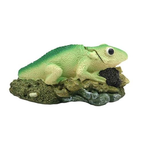 Exquisites Reptilien-Aquarium, großes Aquarium, Zuhause, Büro, Hotel, Dekoration für Aquarien, Dekoration und Sauerstoffversorgung von SYJHHWGS