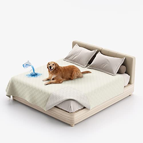 SYLC Hundedecke Wasserdicht, Hunde Decken Für Hund Hundematte Undurchlässig, rutschfest Sofaschutz Katze Waschbar Für Bett, Sofa, Auto, Outdoor (102 x 127 cm,Elfenbein) von SYLC