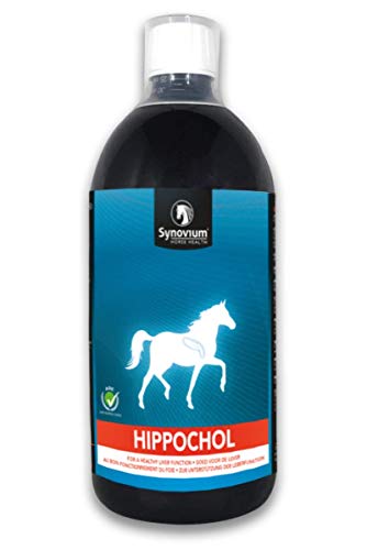 Hippochol für Ihr Pferd oder Pony (kann bei der natürlichen Reinigung des Körpers helfen und so beispielsweise den Prozess des Haarausfalls beschleunigen. Unterstützt die Leberfunktion und die reinigende Wirkung der Leber und stimuliert auch den Appetitlosigkeit. Pferd von SYNOVIUM