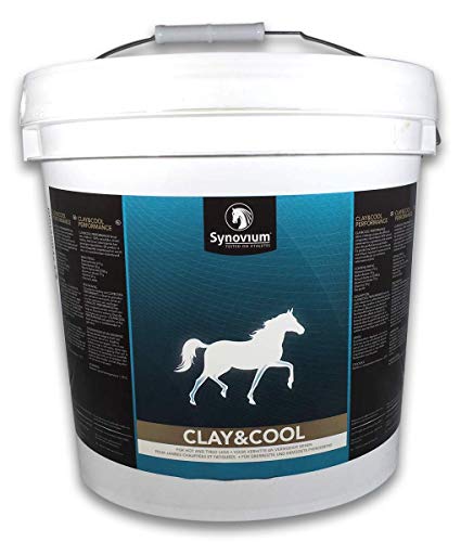 SYNOVIUM Clay & Cool (20000 Gramm) von SYNOVIUM