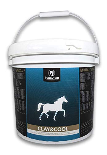 SYNOVIUM Clay & Cool (5000 Gramm) von SYNOVIUM