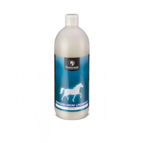 SYNOVIUM Ginger MSM Liniment - 500 ml von SYNOVIUM