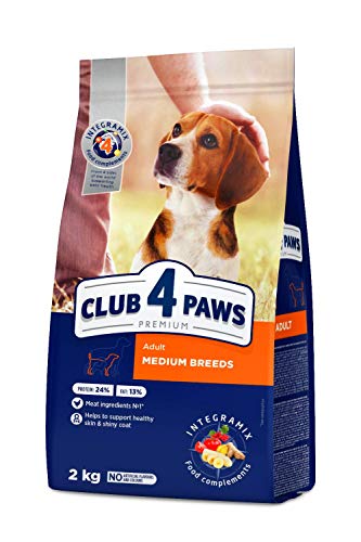 SYNTEZA Club4 Trockenfutter für Hunde, 2 kg, mittelgroß von SYNTEZA