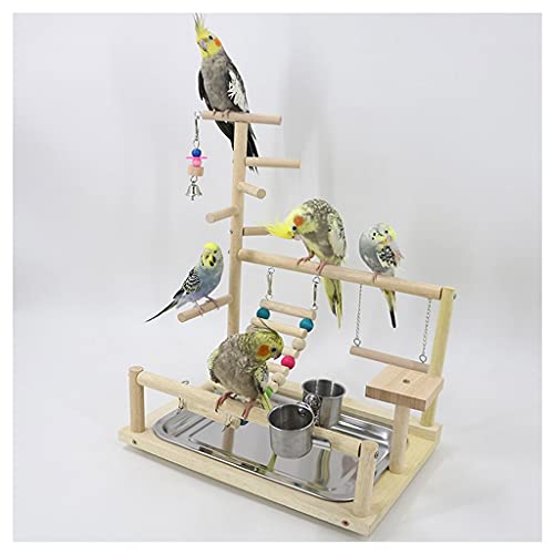 Vogelkäfig für Papageien, interaktiver Spielplatz, Ständer für kleine Papageien, Spielzeugschaukel, Zubehör zum Klettern, geeignet für Sittiche, Finken, Vogelpapageien für Turteltauben, Finken, Papag von SYSZSYHD