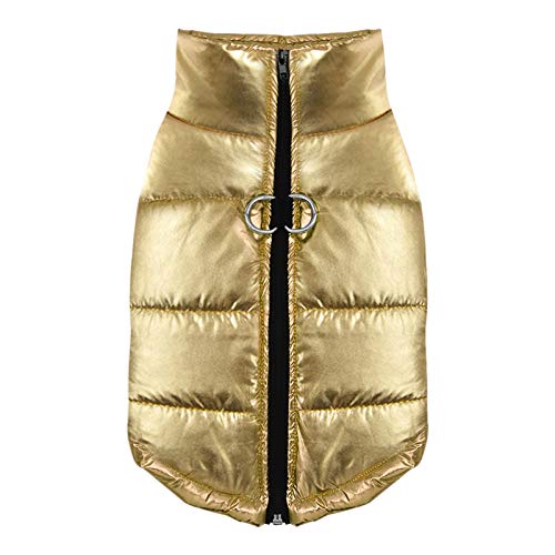 SYT-MD Hundekostüm, Haustier Mantel Winter warme Weste kleine Hund Kleidung wasserdichte Hund Kleidung welpen Hund Regen Mantel Kleidung Zubehã (Color : Gold, Size : 2XL) von SYT-MD