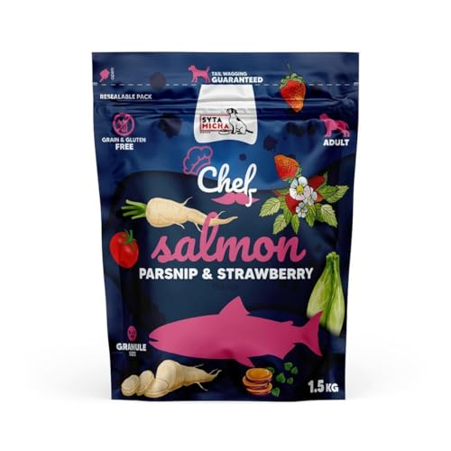 SYTA MICHA Cheffutter Erdbeere Lachs 1,5 kg von SYTA MICHA